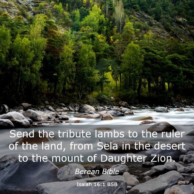 Picture 03 - Isaiah 16:1 BSB - Send the tribute lambs to the ruler of the land, - Bible Verse Picture