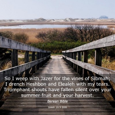 Picture 03 - Isaiah 16:9 BSB - So I weep with Jazer for the vines of Sibmah; I - Bible Verse Picture