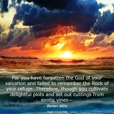 Picture 03 - Isaiah 17:10 BSB - For you have forgotten the God of your salvation - Bible Verse Picture