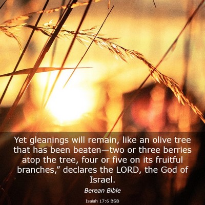 Picture 03 - Isaiah 17:6 BSB - Yet gleanings will remain, like an olive tree - Bible Verse Picture