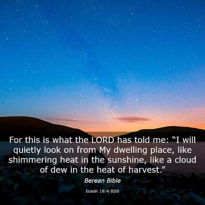 Picture 03 - Isaiah 18:4 BSB - For this is what the LORD has told me: “I will - Bible Verse Picture