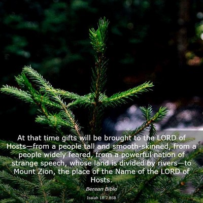 Picture 03 - Isaiah 18:7 BSB - At that time gifts will be brought to the LORD of - Bible Verse Picture