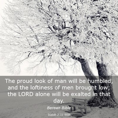 Picture 03 - Isaiah 2:11 BSB - The proud look of man will be humbled, and the - Bible Verse Picture