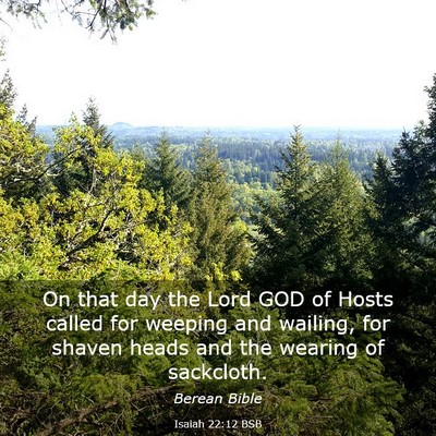 Picture 03 - Isaiah 22:12 BSB - On that day the Lord GOD of Hosts called for - Bible Verse Picture