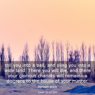 Picture 03 - Isaiah 22:18 BSB - roll you into a ball, and sling you into a wide - Bible Verse Picture