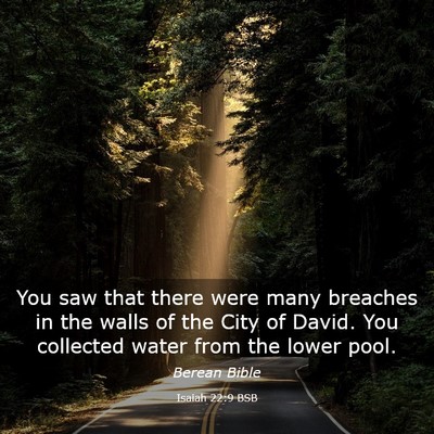 Picture 03 - Isaiah 22:9 BSB - You saw that there were many breaches in the - Bible Verse Picture