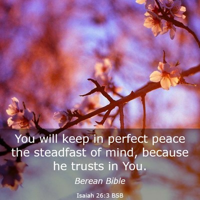 Picture 03 - Isaiah 26:3 BSB - You will keep in perfect peace the steadfast of - Bible Verse Picture