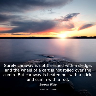 Picture 03 - Isaiah 28:27 BSB - Surely caraway is not threshed with a sledge, and - Bible Verse Picture