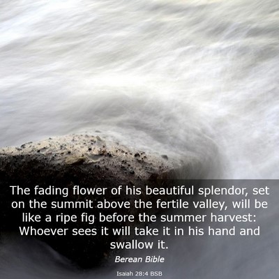Picture 03 - Isaiah 28:4 BSB - The fading flower of his beautiful splendor, set - Bible Verse Picture