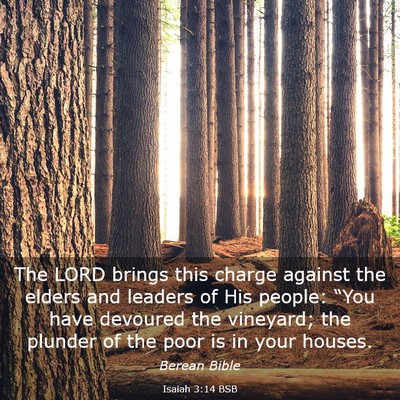 Picture 03 - Isaiah 3:14 BSB - The LORD brings this charge against the elders - Bible Verse Picture