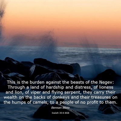 Picture 03 - Isaiah 30:6 BSB - This is the burden against the beasts of the - Bible Verse Picture