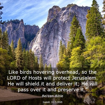 Picture 03 - Isaiah 31:5 BSB - Like birds hovering overhead, so the LORD of - Bible Verse Picture