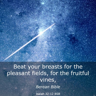 Picture 03 - Isaiah 32:12 BSB - Beat your breasts for the pleasant fields, for - Bible Verse Picture