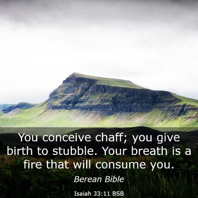Picture 03 - Isaiah 33:11 BSB - You conceive chaff; you give birth to stubble. - Bible Verse Picture
