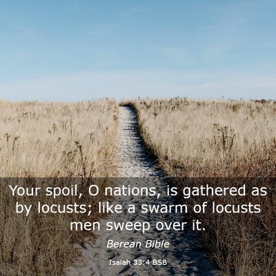 Picture 03 - Isaiah 33:4 BSB - Your spoil, O nations, is gathered as by locusts; - Bible Verse Picture