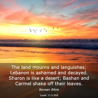 Picture 03 - Isaiah 33:9 BSB - The land mourns and languishes; Lebanon is - Bible Verse Picture