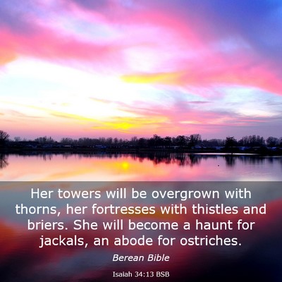 Picture 03 - Isaiah 34:13 BSB - Her towers will be overgrown with thorns, her - Bible Verse Picture