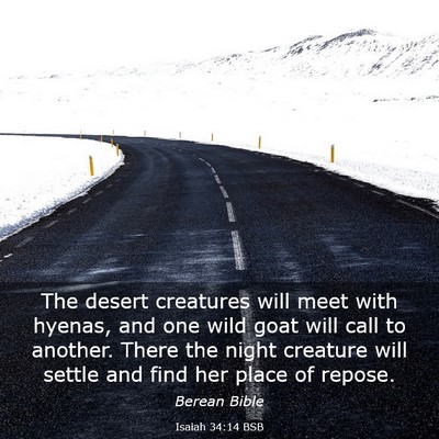 Picture 03 - Isaiah 34:14 BSB - The desert creatures will meet with hyenas, and - Bible Verse Picture