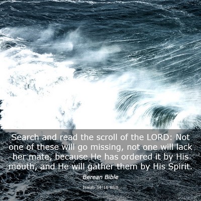 Picture 03 - Isaiah 34:16 BSB - Search and read the scroll of the LORD: Not one - Bible Verse Picture