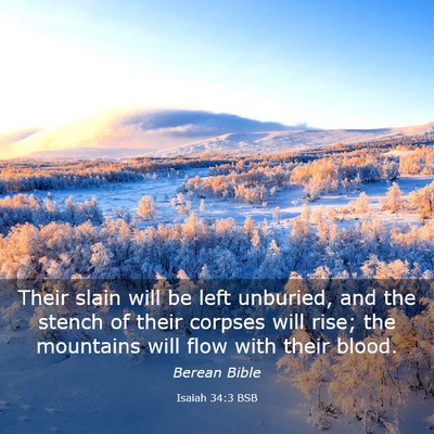 Picture 03 - Isaiah 34:3 BSB - Their slain will be left unburied, and the stench - Bible Verse Picture