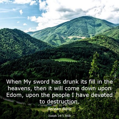 Picture 03 - Isaiah 34:5 BSB - When My sword has drunk its fill in the heavens, - Bible Verse Picture