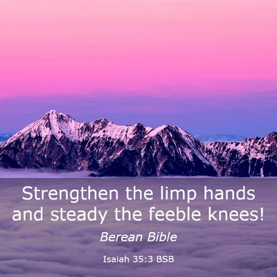 Picture 03 - Isaiah 35:3 BSB - Strengthen the limp hands and steady the feeble - Bible Verse Picture