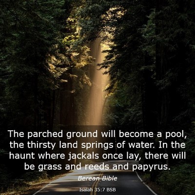 Picture 03 - Isaiah 35:7 BSB - The parched ground will become a pool, the - Bible Verse Picture