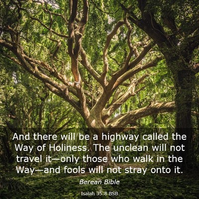 Picture 03 - Isaiah 35:8 BSB - And there will be a highway called the Way of - Bible Verse Picture