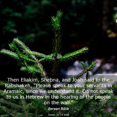 Picture 03 - Isaiah 36:11 BSB - Then Eliakim, Shebna, and Joah said to the - Bible Verse Picture