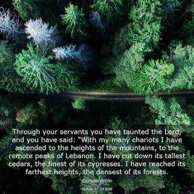 Picture 03 - Isaiah 37:24 BSB - Through your servants you have taunted the Lord, - Bible Verse Picture