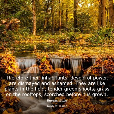 Picture 03 - Isaiah 37:27 BSB - Therefore their inhabitants, devoid of power, are - Bible Verse Picture