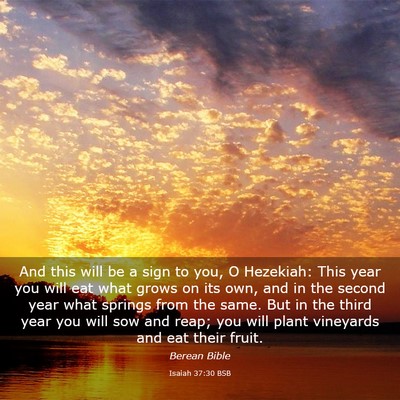 Picture 03 - Isaiah 37:30 BSB - And this will be a sign to you, O Hezekiah: This - Bible Verse Picture