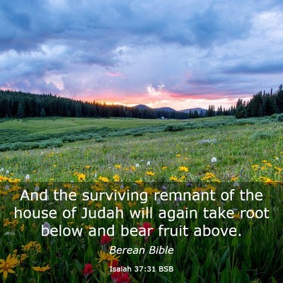 Picture 03 - Isaiah 37:31 BSB - And the surviving remnant of the house of Judah - Bible Verse Picture