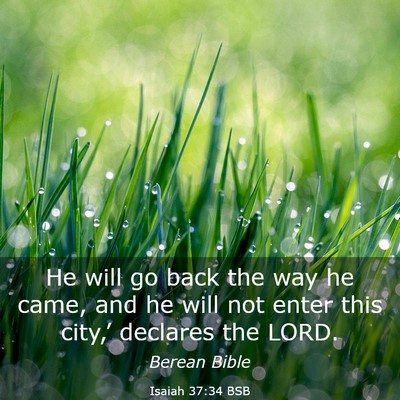 Picture 03 - Isaiah 37:34 BSB - He will go back the way he came, and he will not - Bible Verse Picture
