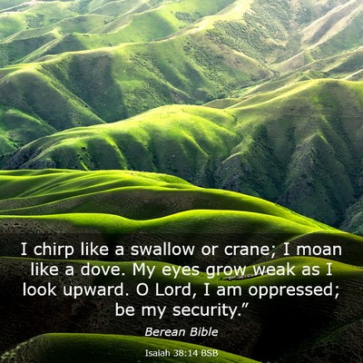 Picture 03 - Isaiah 38:14 BSB - I chirp like a swallow or crane; I moan like a - Bible Verse Picture