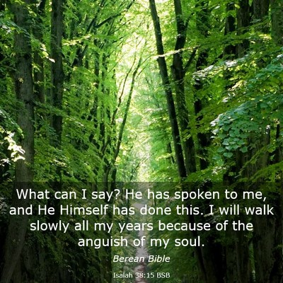 Picture 03 - Isaiah 38:15 BSB - What can I say? He has spoken to me, and He - Bible Verse Picture