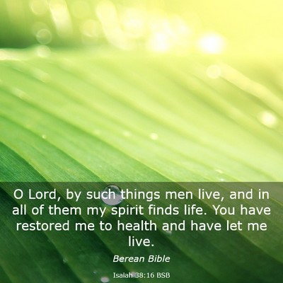 Picture 03 - Isaiah 38:16 BSB - O Lord, by such things men live, and in all of - Bible Verse Picture