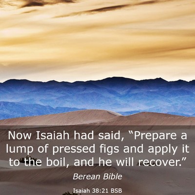 Picture 03 - Isaiah 38:21 BSB - Now Isaiah had said, “Prepare a lump of pressed - Bible Verse Picture