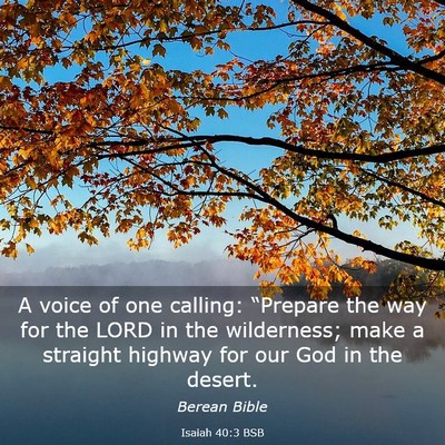 Picture 03 - Isaiah 40:3 BSB - A voice of one calling: “Prepare the way for - Bible Verse Picture