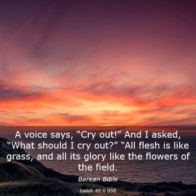 Picture 03 - Isaiah 40:6 BSB - A voice says, “Cry out!” And I asked, “What - Bible Verse Picture