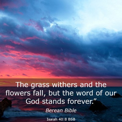 Picture 03 - Isaiah 40:8 BSB - The grass withers and the flowers fall, but the - Bible Verse Picture