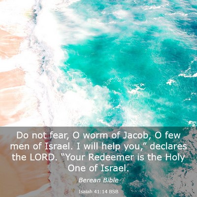 Picture 03 - Isaiah 41:14 BSB - Do not fear, O worm of Jacob, O few men of - Bible Verse Picture