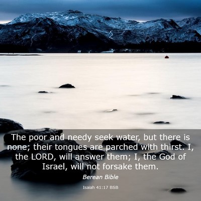 Picture 03 - Isaiah 41:17 BSB - The poor and needy seek water, but there is none; - Bible Verse Picture
