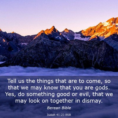 Picture 03 - Isaiah 41:23 BSB - Tell us the things that are to come, so that we - Bible Verse Picture