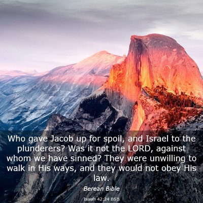 Picture 03 - Isaiah 42:24 BSB - Who gave Jacob up for spoil, and Israel to the - Bible Verse Picture