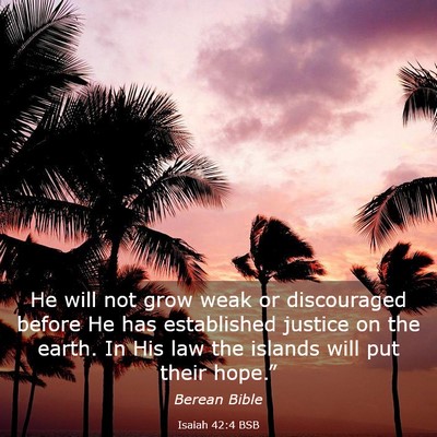 Picture 03 - Isaiah 42:4 BSB - He will not grow weak or discouraged before He - Bible Verse Picture