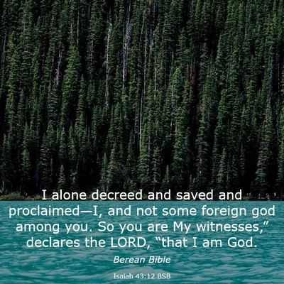 Picture 03 - Isaiah 43:12 BSB - I alone decreed and saved and proclaimed—I, and - Bible Verse Picture