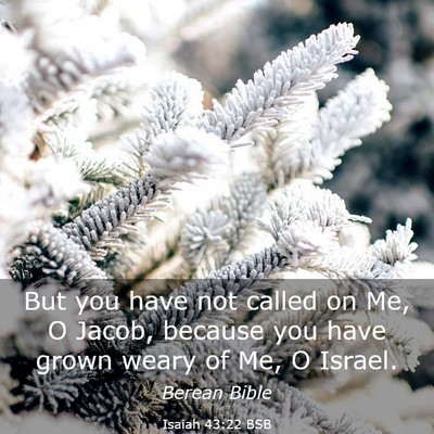 Picture 03 - Isaiah 43:22 BSB - But you have not called on Me, O Jacob, because - Bible Verse Picture
