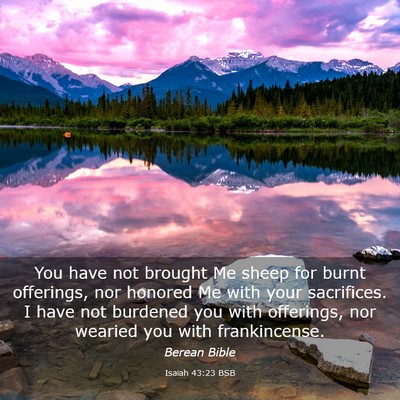 Picture 03 - Isaiah 43:23 BSB - You have not brought Me sheep for burnt - Bible Verse Picture