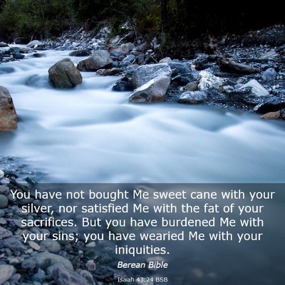 Picture 03 - Isaiah 43:24 BSB - You have not bought Me sweet cane with your - Bible Verse Picture